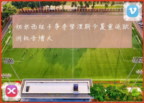 切尔西纽卡争夺努涅斯今夏重返欧洲机会增大