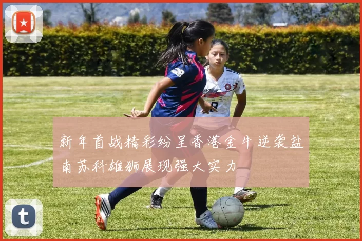 新年首战精彩纷呈香港金牛逆袭盐南苏科雄狮展现强大实力